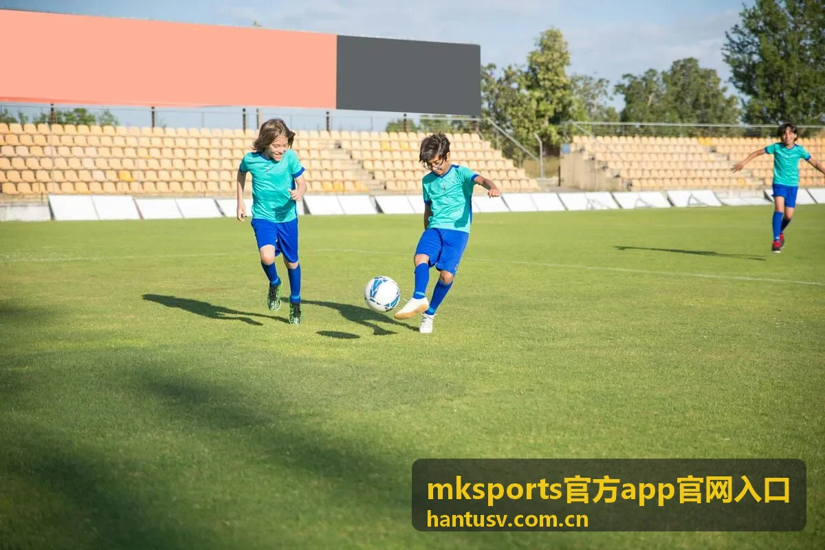 mksports官方app官网入口 项目分类标签使用说明配图