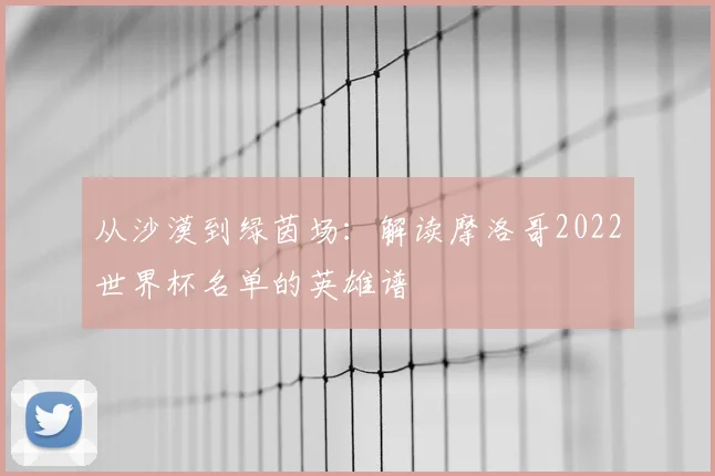 从沙漠到绿茵场：解读摩洛哥2022世界杯名单的英雄谱